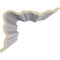 Ekena Millwork 11 5/8"H x 15 3/8"P x 18 3/4"F x 94 1/2"L, (2" Repeat), Coogan Crown Moulding MLD11X15X18CG - alternate 4